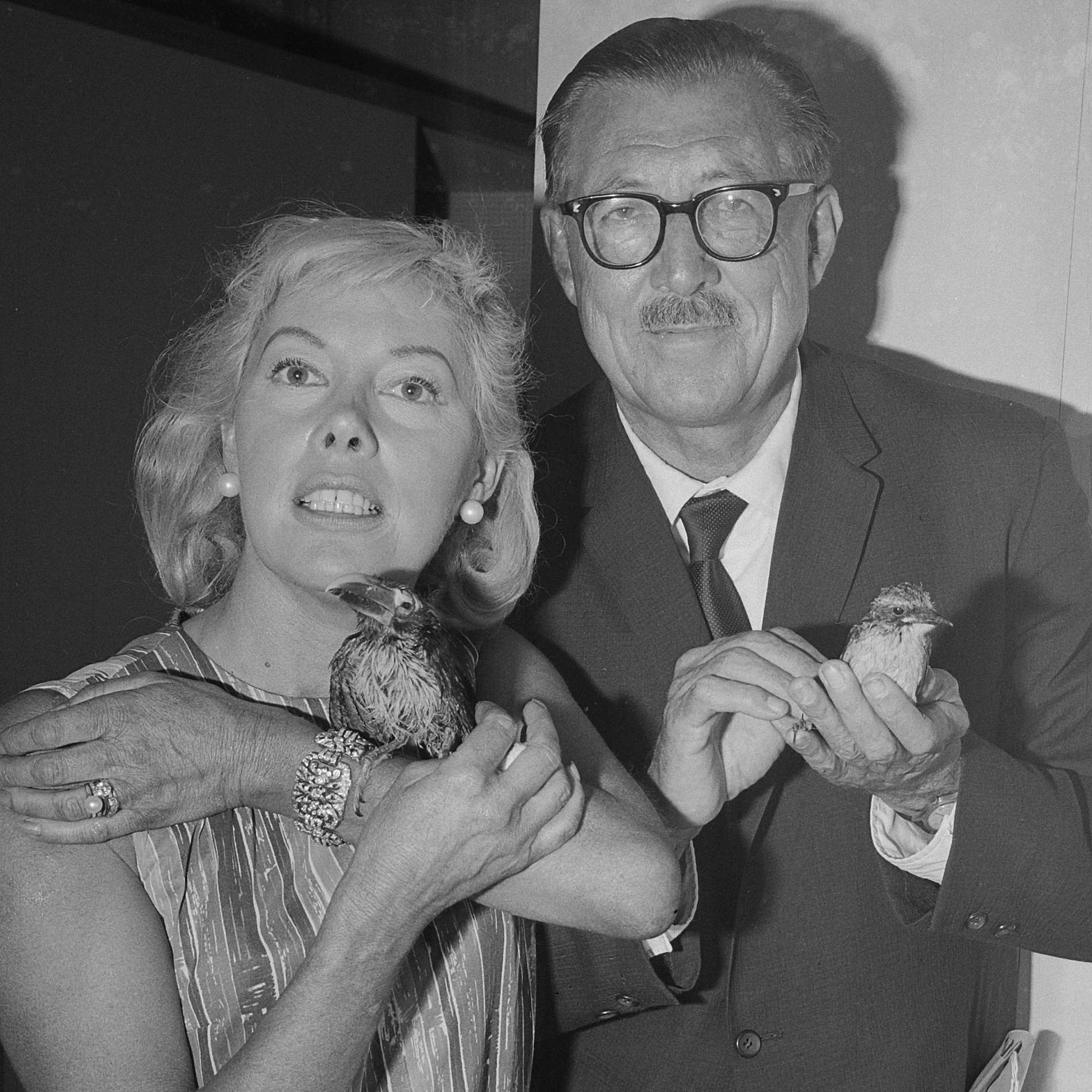1950s: The documentary century begins